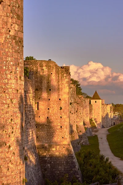 中世の塔とプロヴァンの城壁 — ストック写真