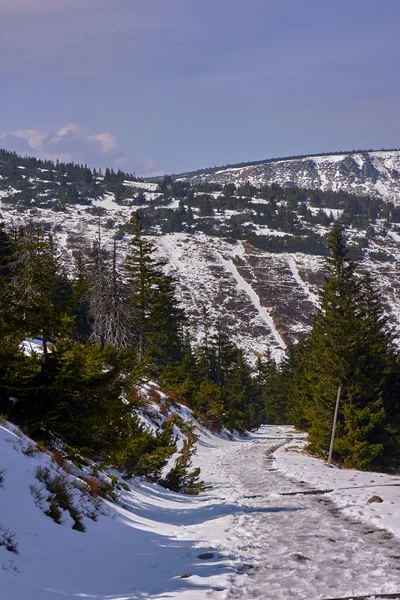 Enterré dans le sentier de randonnée sur neige dans les Monts Géants — Photo