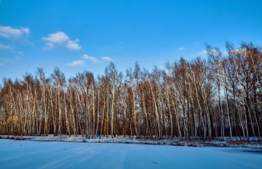 Donmuş bir göl üzerinde huş ağacı resimleri