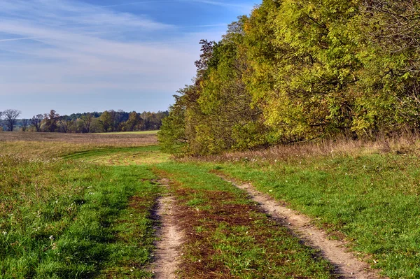 秋の森近くの牧草地の田舎道 — ストック写真