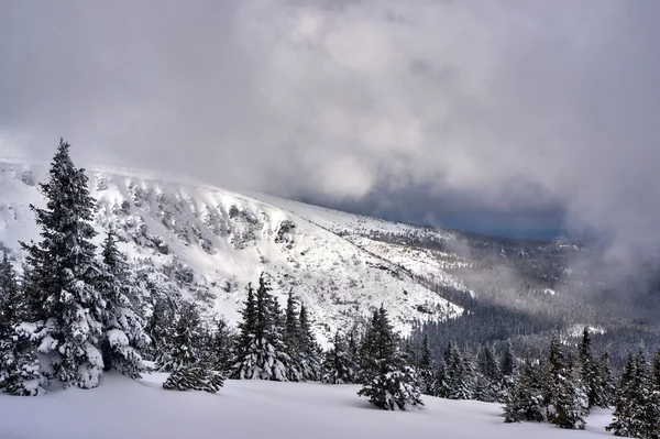 Зимний пейзаж в облачный день в Гигантских горах — стоковое фото