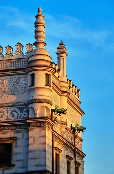 Decorazione in pietra e gargoyle sulla città rinascimentale hal — Foto Stock