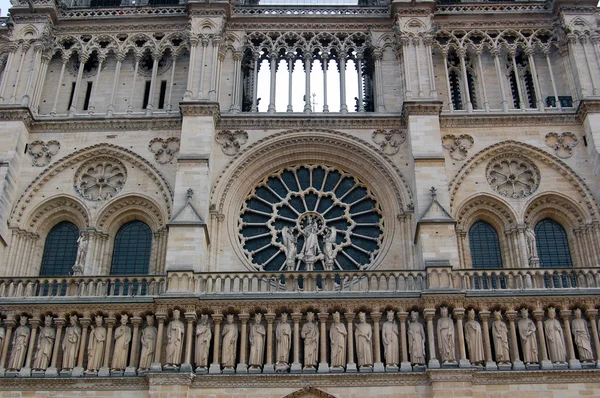 Katedrála Notre dame — Stock fotografie