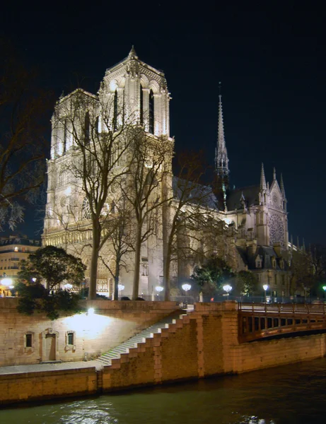 Notre Dame de Paris na večer — Stock fotografie