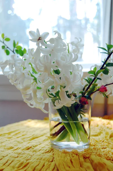 新鮮な白いヒヤシンスの花瓶と背景 — ストック写真