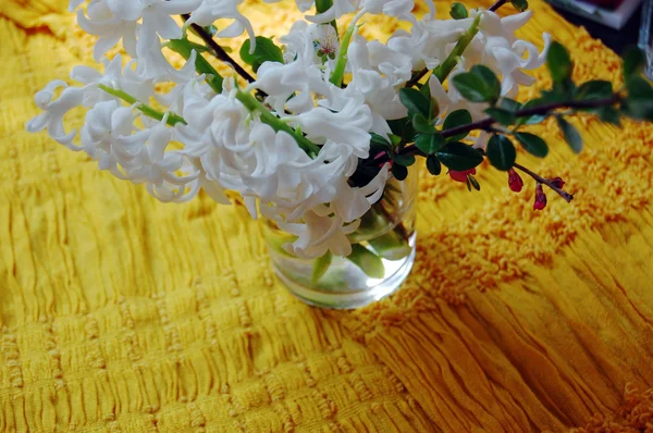Fondo con jacintos blancos frescos en jarrón — Foto de Stock