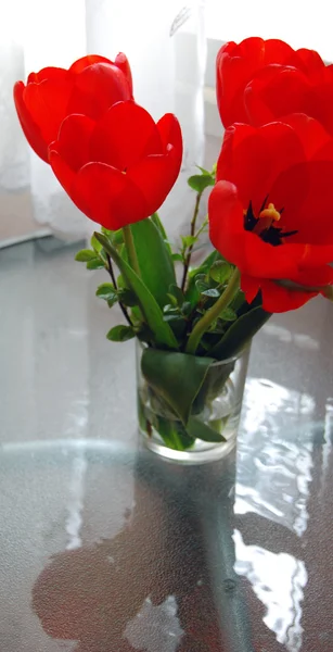 Beautiful bouquet of red tulips — Stock Photo, Image