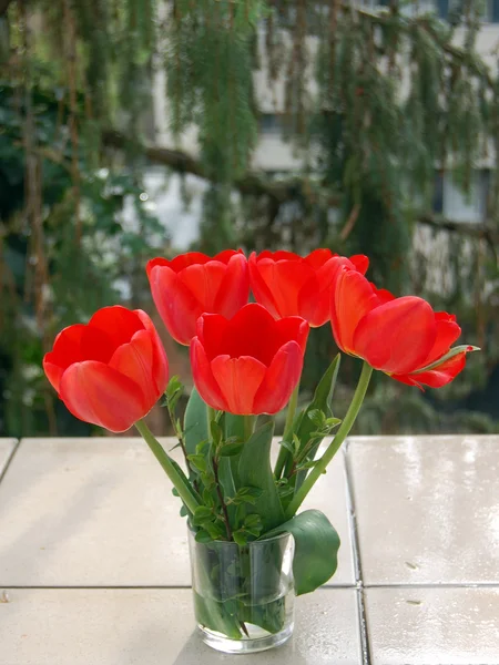 Hermoso ramo de tulipanes rojos —  Fotos de Stock