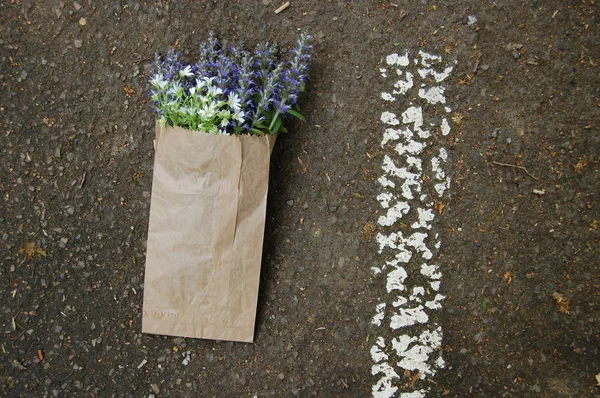 Mazzo di fiori di salvia blu in sacchetto di carta — Foto Stock