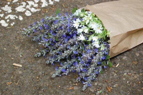 Kilka niebieskie kwiaty szałwii w worek papierowy — Zdjęcie stockowe