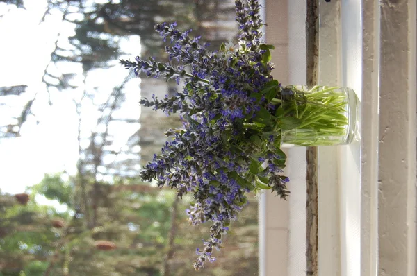 ブルー サルビアの花の束 — ストック写真