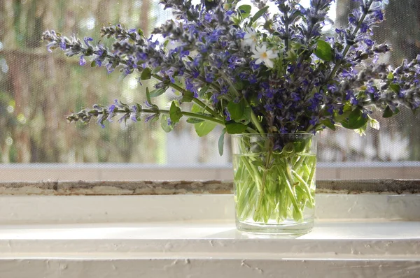 Bunch of blue sage flowers — Stock Photo, Image