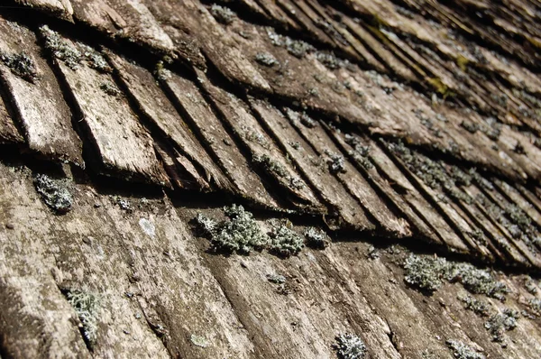 Achtergrond van oude, mossy dakpannen — Stockfoto