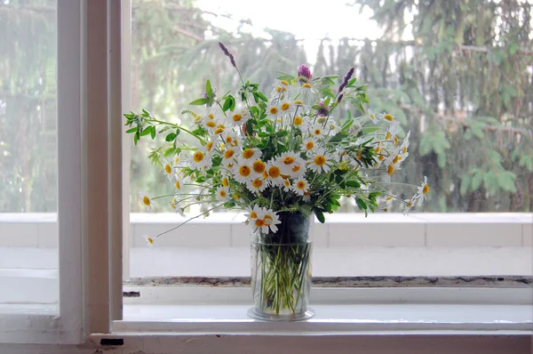 Prachtige lente achtergrond met bloemen, madeliefjes — Stockfoto