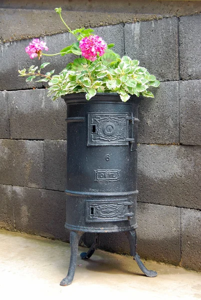 Vieux poêle d'occasion avec des fleurs d'été — Photo