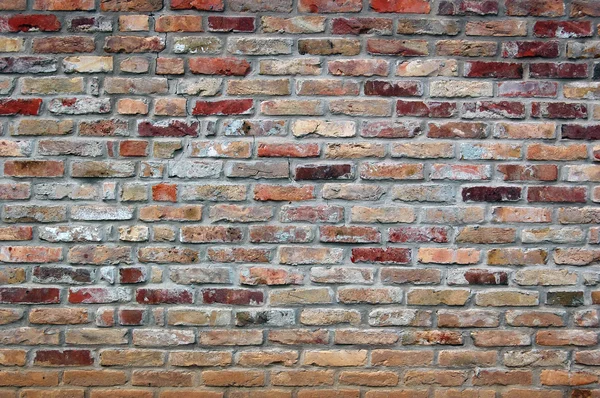 Dettaglio del muro di mattoni — Foto Stock