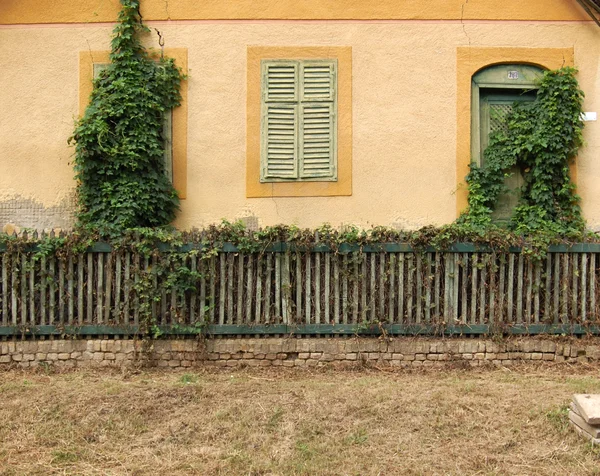 Detail van oude gebouw gevel met windows — Stockfoto