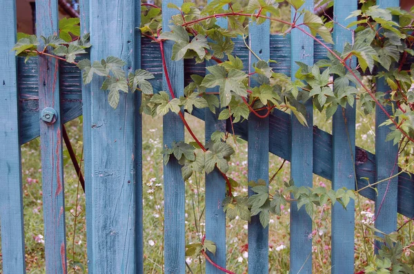 Vecchio dettaglio recinzione — Foto Stock