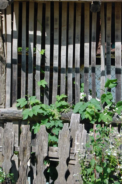 Vecchia recinzione deteriorata — Foto Stock
