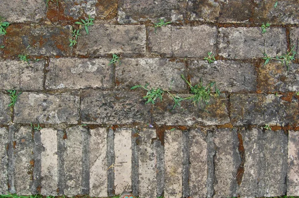 Achtergrond van de vloer met de oude tegels — Stockfoto