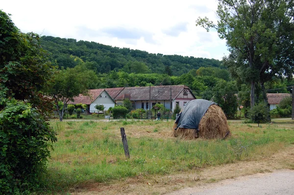 Літній сільський пейзаж з фермою і полем — стокове фото