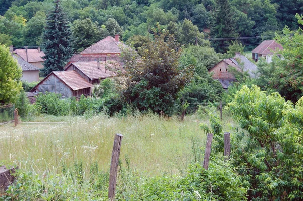 Estate Paesaggio rurale con una fattoria e un campo — Foto Stock