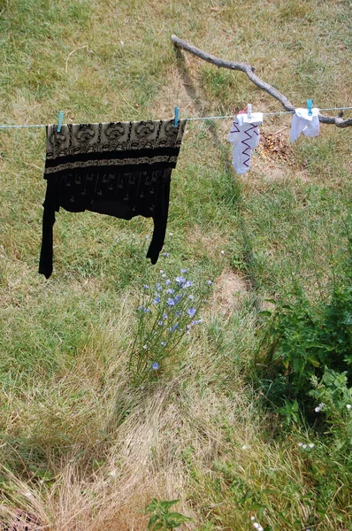 Roupas penduradas em linha no jardim — Fotografia de Stock