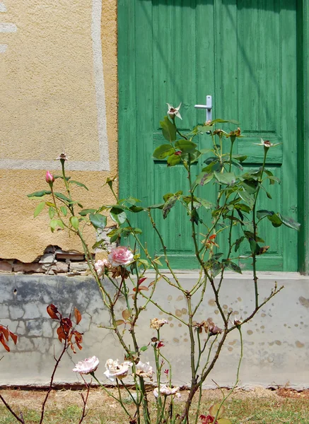 Detalj av gamla byggnadens fasad med trädörr — Stockfoto