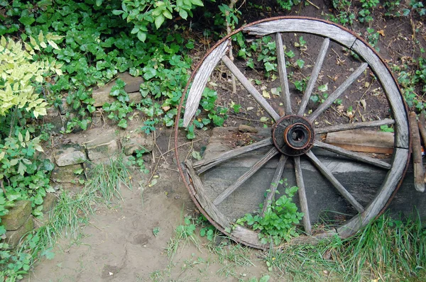 Velha roda de madeira — Fotografia de Stock