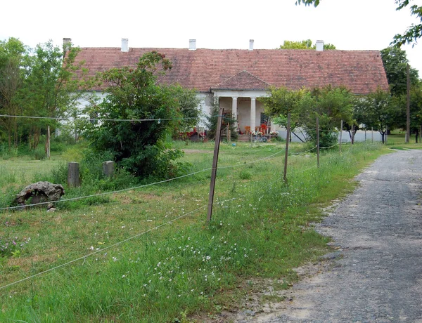 Paysage rural estival avec une ferme et un champ — Photo