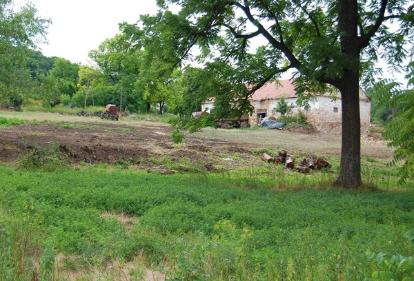 Sommaren Rural landskap med en gård och ett fält — Stockfoto