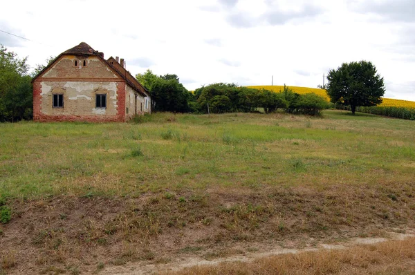 Paisaje rural de verano con una granja y un campo — Foto de Stock