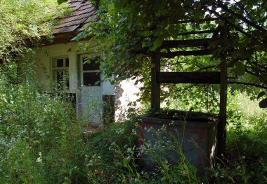 terk edilmiş evde çalılar ve çim ile büyümüş