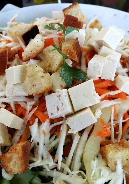 Salada fresca saudável com repolho e tofu — Fotografia de Stock