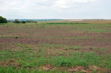 Bulutlu Gök 'le RURAL LANDSCAPE