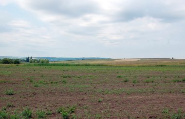 Bulutlu Gök 'le RURAL LANDSCAPE