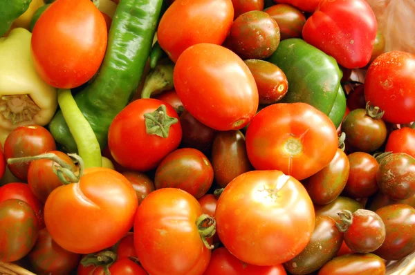 다채로운 신선한 토마토와 고추 — 스톡 사진