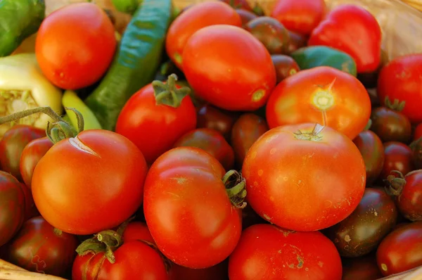 다채로운 신선한 토마토와 고추 — 스톡 사진