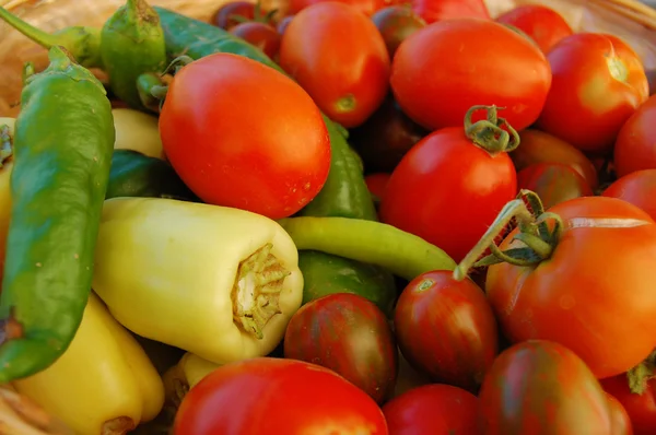 Pomodori freschi colorati e peperoni — Foto Stock