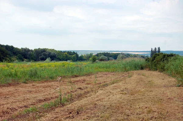 Bulutlu Gök 'le RURAL LANDSCAPE — Stok fotoğraf