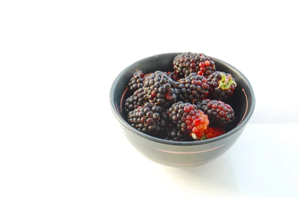 在白色背景上孤立的陶瓷碗新鲜黑莓 — 图库照片