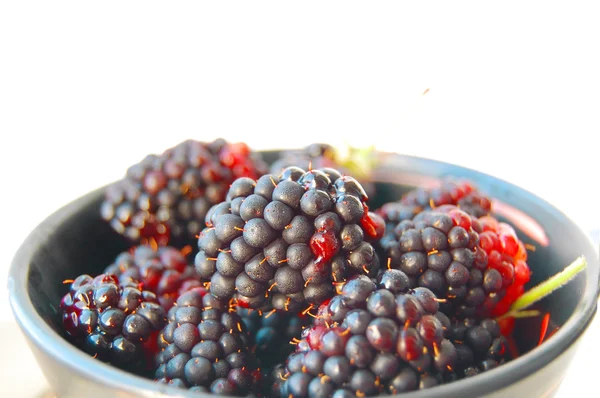 Frische Brombeeren in Keramikschale isoliert auf weißem Hintergrund — Stockfoto