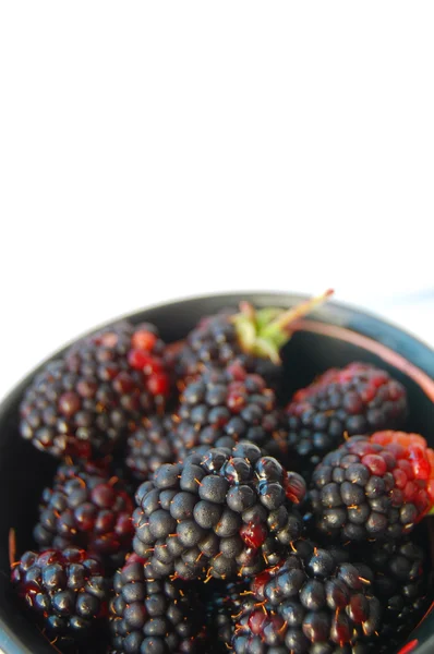 在白色背景上孤立的陶瓷碗新鲜黑莓 — 图库照片