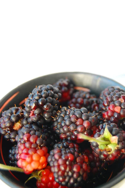 Fresh blackberries in ceramic bowl isolated on white background — Stock Photo, Image