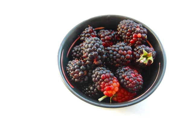 Moras frescas en tazón de cerámica aislado sobre fondo blanco — Foto de Stock