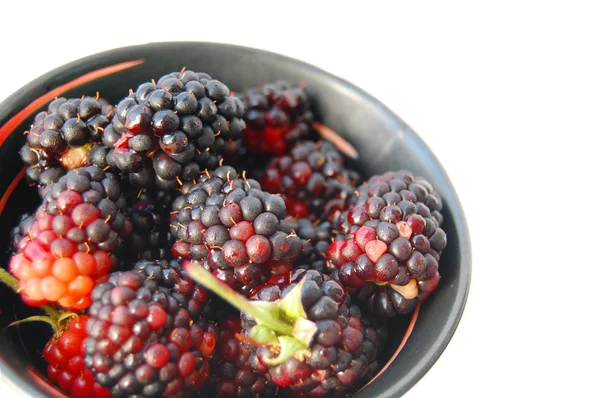 Moras frescas en tazón de cerámica aislado sobre fondo blanco — Foto de Stock