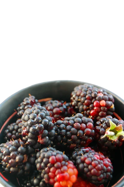 Moras frescas en tazón de cerámica aislado sobre fondo blanco — Foto de Stock