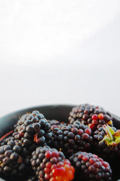 흰색 바탕에 절연 세라믹 그릇에 신선한 검은 딸기 — 스톡 사진