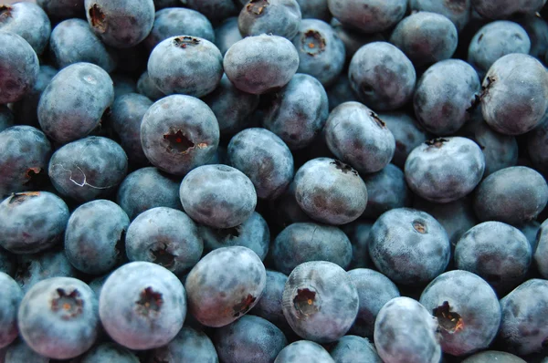 Fresh blueberries background — Stock Photo, Image