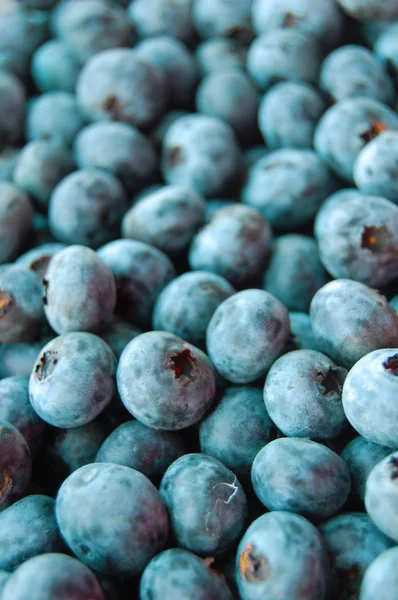 Fresh blueberries background — Stock Photo, Image